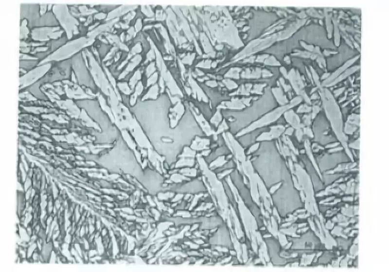 雙相不銹鋼板,2205不銹鋼,無錫不銹鋼,2507不銹鋼板,321不銹鋼板,316L不銹鋼板,無錫不銹鋼板 雙相不銹鋼板,2205不銹鋼,無錫不銹鋼,2507不銹鋼板,321不銹鋼板,316L不銹鋼板,無錫不銹鋼板